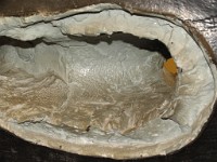 IMG 0286 : Fort Nelson JPG, 4 Stars