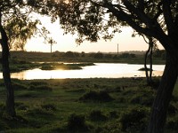 IMG 0808 : Burley, 4 Stars