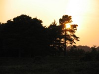 IMG 0815 : Burley, 4 Stars