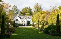DSC1243 : 3 Stars, Ampfield Arboretum Autumn 2020, RAW