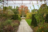 DSC1250 : 3 Stars, Ampfield Arboretum Autumn 2020, RAW