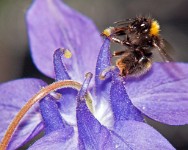 K20D0200 edited-1 : 4 Stars, RAW