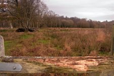 K20D2492 edited-1 : 3 Stars, RAW, Baddelsey Common