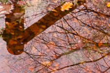 K20D2497 edited-1 : 3 Stars, RAW, Baddelsey Common