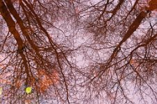 K20D2504 edited-1 : 3 Stars, RAW, Baddelsey Common