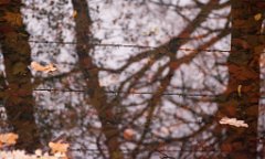 K20D2525 edited-1 : 3 Stars, RAW, Baddelsey Common