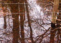 K20D2526 edited-1 : 3 Stars, RAW, Baddelsey Common