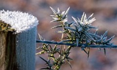 K20D2565 edited-1 : 3 Stars, RAW, Baddelsey Common