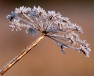 K20D2568 edited-1 : 3 Stars, RAW, Baddelsey Common