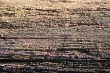 K20D2628 edited-1 : 3 Stars, RAW, Baddelsey Common