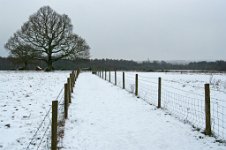 K20D2652 edited-1 : 3 Stars, RAW