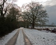 K20D2662 edited-1 : 3 Stars, RAW, Baddelsey Common