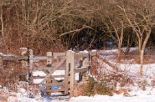 K20D2677 edited-1 : 3 Stars, RAW, Baddelsey Common