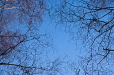 K20D2679 edited-1 : 3 Stars, RAW, Baddelsey Common