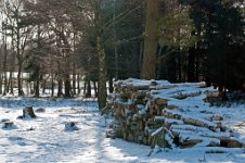 K20D2698 edited-1 : 3 Stars, RAW, Baddelsey Common