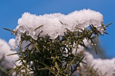 K20D2702 edited-1 : 3 Stars, RAW, Baddelsey Common