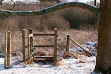 K20D2704 edited-1 : 3 Stars, RAW, Baddelsey Common