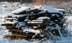 K20D2715 edited-1 : 3 Stars, RAW, Baddelsey Common