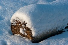 K20D2719 edited-1 : 3 Stars, RAW, Baddelsey Common