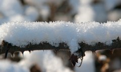 K20D2722 edited-1 : 3 Stars, RAW, Baddelsey Common