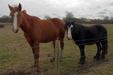 K20D2871 edited-1 : 3 Stars, RAW, Baddelsey Common