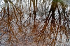 K20D2880 edited-1 : 3 Stars, RAW, Baddelsey Common