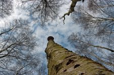 K20D2892 edited-1 : 4 Stars, RAW, Baddelsey Common