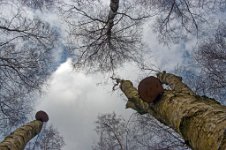 K20D2899 edited-1 : 3 Stars, RAW, Baddelsey Common