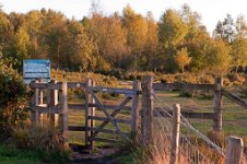 K20D5635 edited-1 : RAW, Baddelsey Common