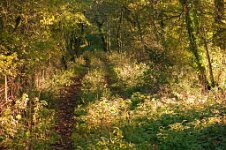 K20D5646 edited-1 : RAW, Baddelsey Common