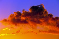 K20D5666 edited-1 : RAW, Baddelsey Common