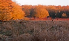 K20D5915 edited-1 : 3 Stars, In Focus, High Quality, RAW, Baddelsey Common