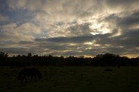 PK5 0409 edited-1 : In Focus, High Quality, RAW, 3 Stars, BC Autumn