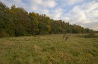 PK5 0411 edited-1 : In Focus, High Quality, RAW, 3 Stars, BC Autumn