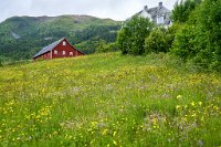 DSC7398 : 4 Stars, Norway, Balestrand Heritage Trail, RAW