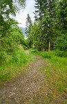 DSC7690 : 3 Stars, Norway, Balestrand Museum-Trail 7A, RAW