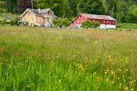 DSC7698 : 3 Stars, Norway, Balestrand Museum-Trail 7A, RAW