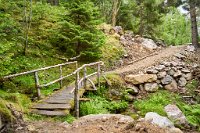 DSC7700 : 3 Stars, Norway, Balestrand Museum-Trail 7A, RAW