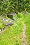 DSC7705 : 3 Stars, Norway, Balestrand Museum-Trail 7A, RAW