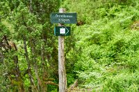 DSC7596 : 3 Stars, Norway, Balestrand Trail 7B, RAW