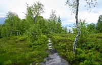 DSC7600 : 3 Stars, Norway, Balestrand Trail 7B, RAW