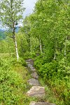 DSC7604 : 3 Stars, Norway, Balestrand Trail 7B, RAW