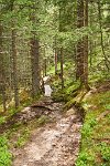 DSC7612 : 3 Stars, Norway, Balestrand Trail 7B, RAW