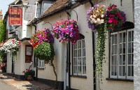 20140725 142259-2  User comments : 3 Stars, Bishops Waltham