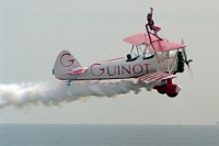 K20D1486 edited-1 : 4 Stars, RAW, Bournemouth Airshow 2009