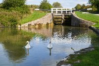 DSC0827 : 3 Stars, Caen Hill Locks, RAW