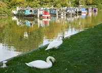 DSC0843 : 3 Stars, Caen Hill Locks, RAW