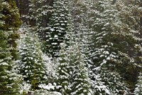 K20D4702 edited-1 : 3 Stars, RAW, Canada Rockies