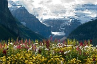 K20D4739 edited-1 : 4 Stars, RAW, Canada Rockies, ACR-JPG