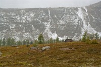 K20D4787 edited-1 : 3 Stars, RAW, Canada Rockies